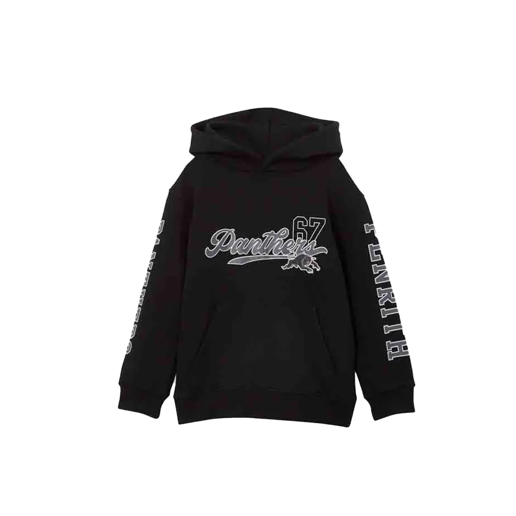 Penrith Panthers Sleeve Print Hoodie Youth